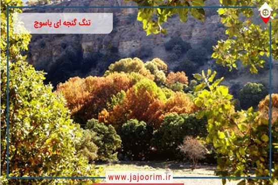 تنگ گنجه ای یاسوج تابلوی زیبای آفرینش از کوه ها و چشمه ها