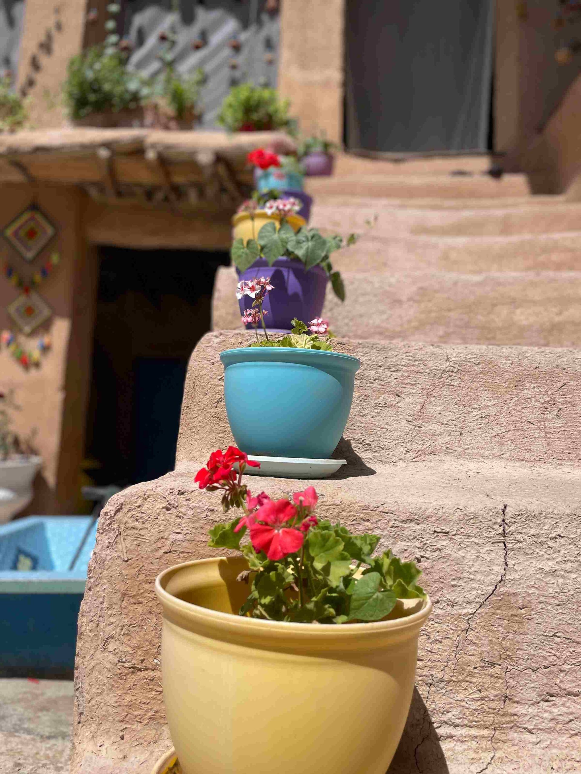 بومگردی در محدوده روستای کریک