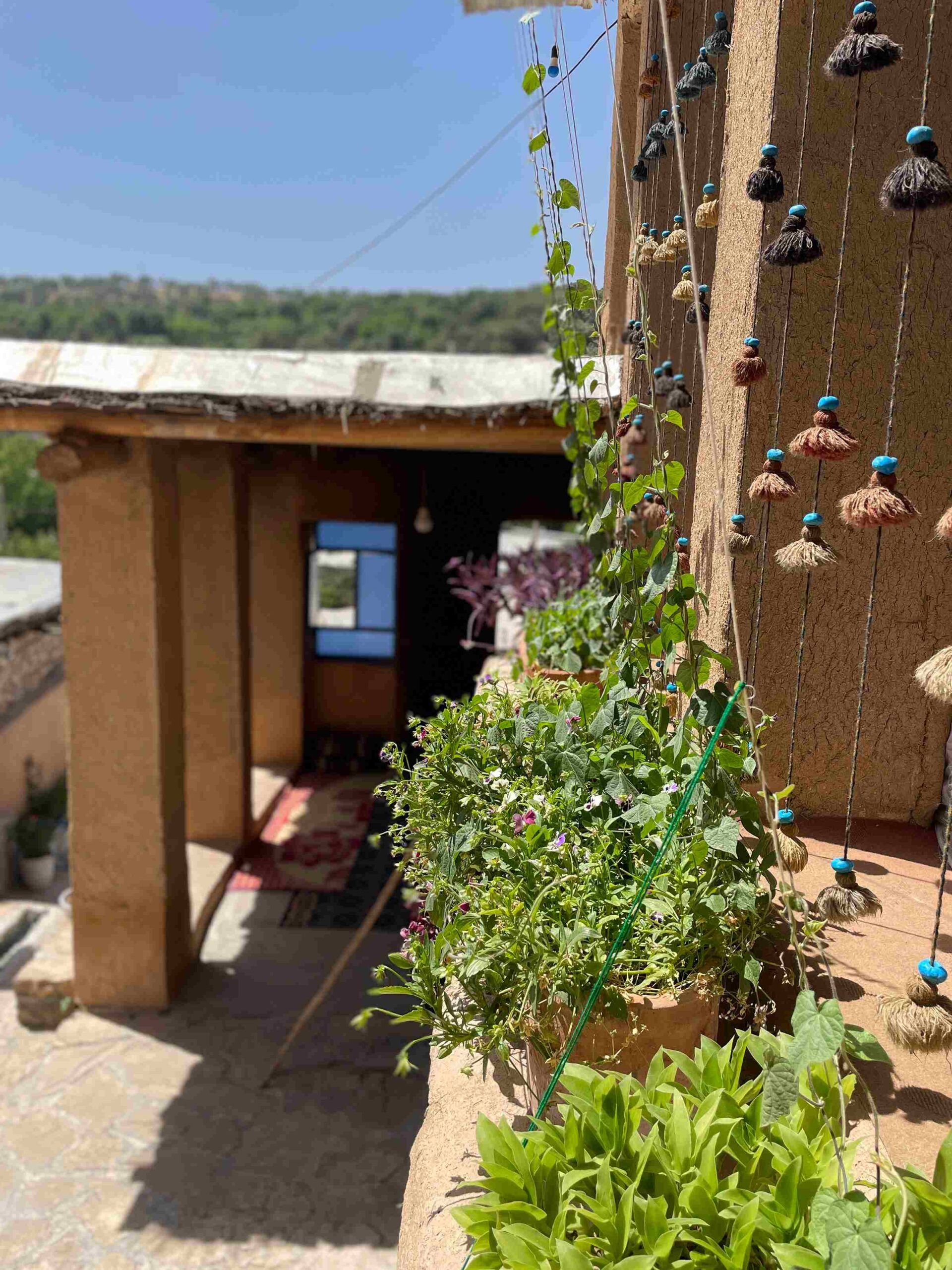 بومگردی در محدوده روستای کریک