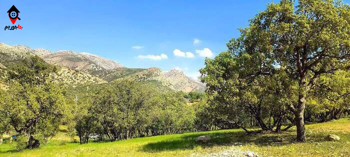 پارک جنگلی یاسوج