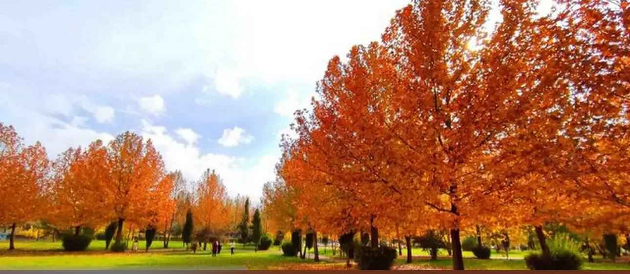 پارک مهرورزی یاسوج