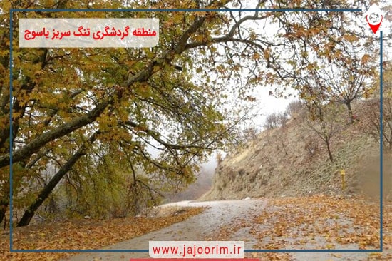 منطقه گردشگری تنگ سریز یاسوج
