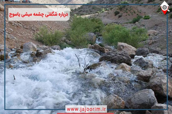درباره شگفتی چشمه میشی یاسوج مطلع شویم +فیلم
