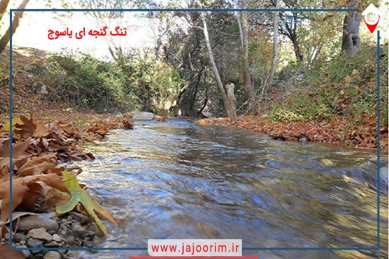 تنگ گنجه ای یاسوج تابلوی زیبای آفرینش از کوه ها و چشمه ها