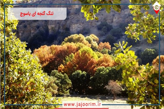 تنگ گنجه ای یاسوج تابلوی زیبای آفرینش از کوه ها و چشمه ها