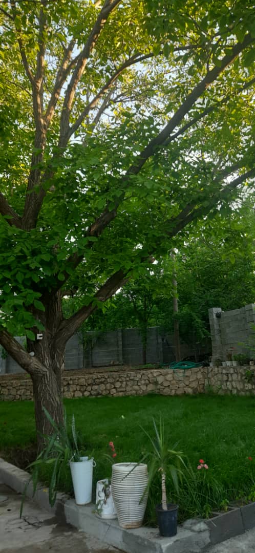 ویلا