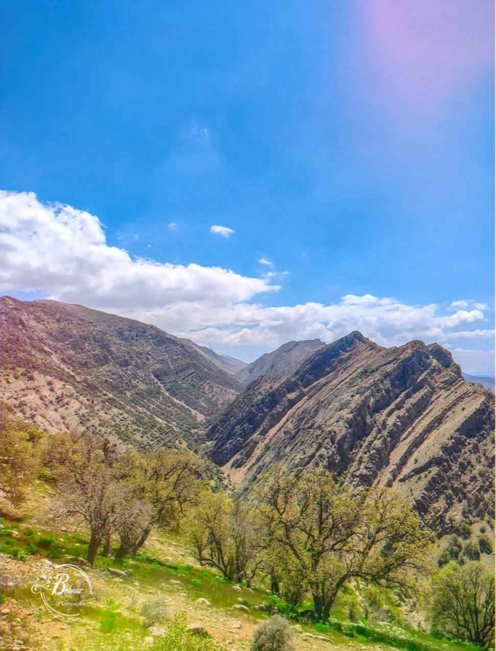 پارک جنگلی یاسوج