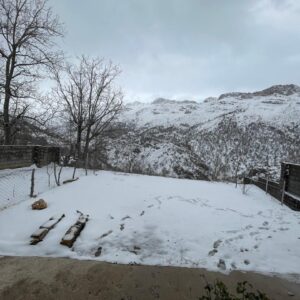 ویلا چشمه چنار یاسوج