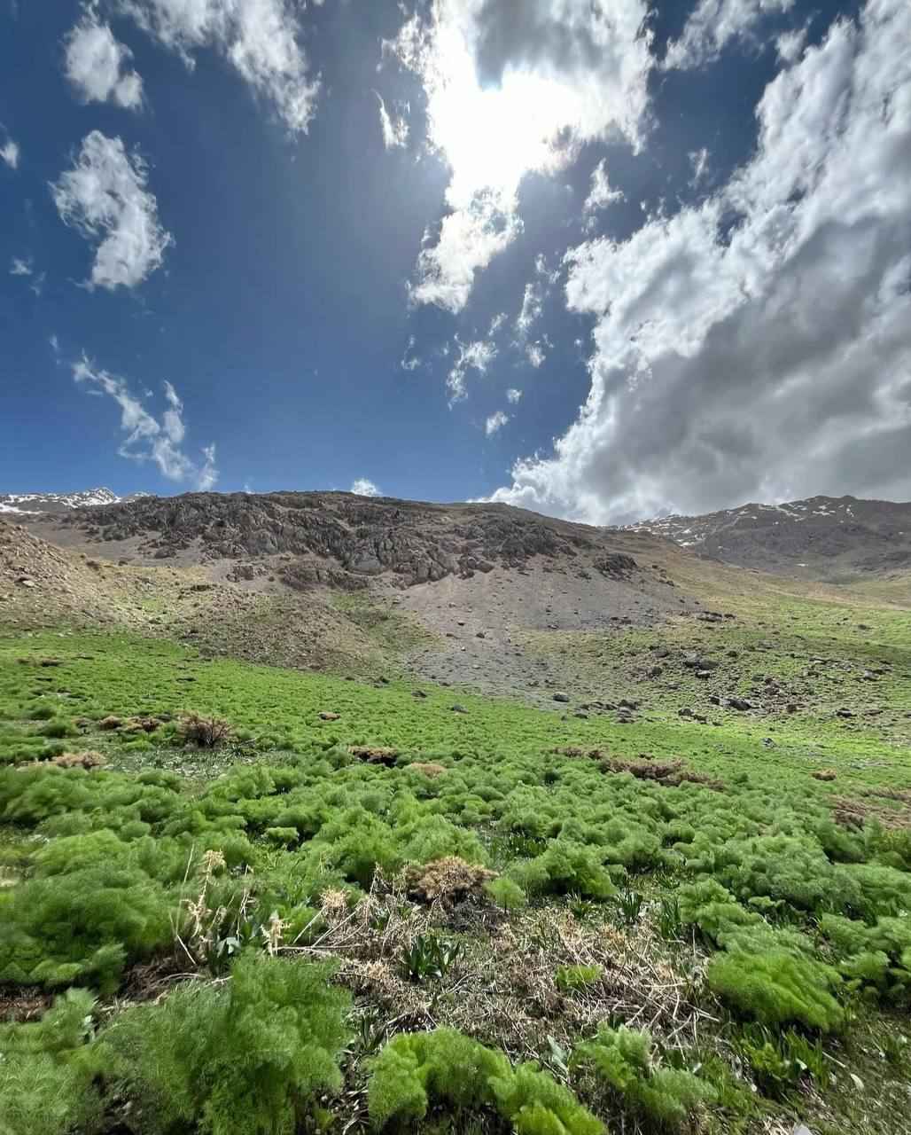 طبیعت بکر سی سخت