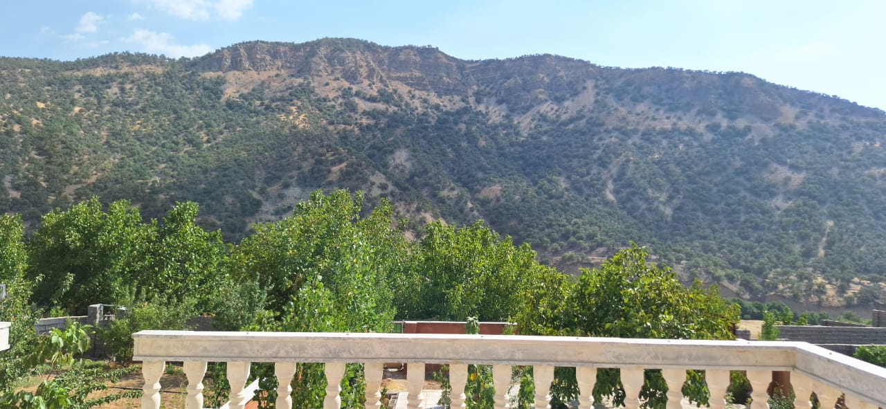 اجاره ویلا شیک دهنو یاسوج